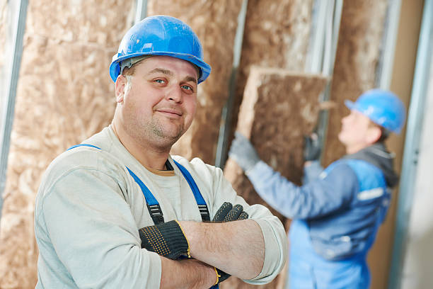Best Best Insulation Companies  in Osage, IA